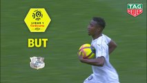But Cheick TIMITE (77ème) / FC Nantes - Amiens SC - (3-2) - (FCN-ASC) / 2018-19