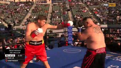 Andy Ruiz Jr. vs Alexander Dimitrenko (20-04-2019)