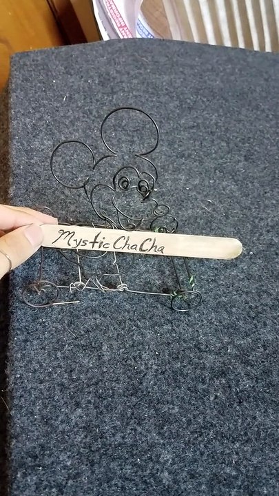 I made a Mickey Mouse toy car from wire.