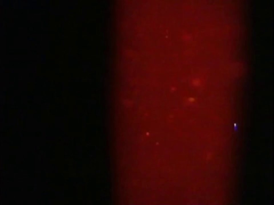 B. P. _ 1970