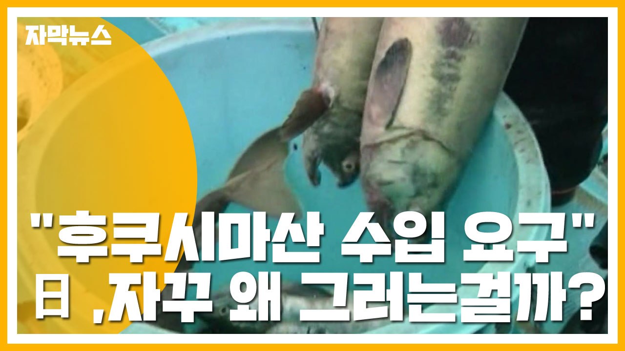 [자막뉴스] "후쿠시마산 수입 계속 요구"...日 어이없는 주장 왜? / YTN