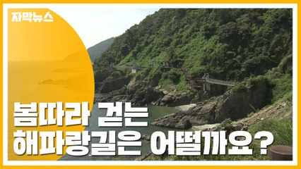 [자막뉴스] 봄따라 걷는 해파랑길은 어떨까요? / YTN