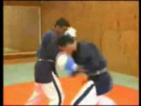 Qu'est ce que le Yoseikan budo - La_couronne dec 2007