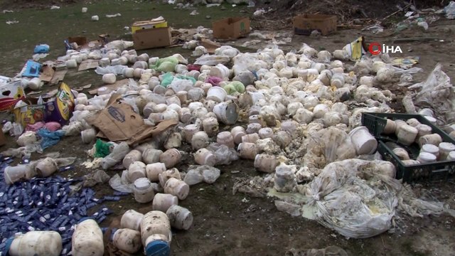 Çevreye gelişi güzel atılan bozulmuş peynirler, koyunları telef etti