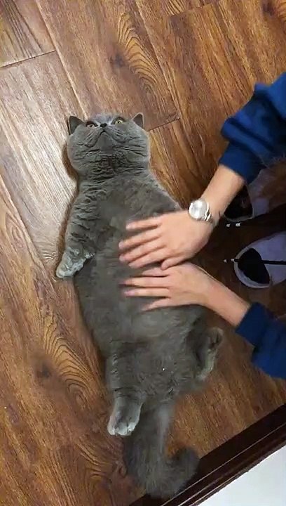 It's so comfortable!Donnot stop!