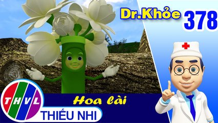 THVL | Dr. Khỏe – Tập 378: Hoa lài - Phần 1