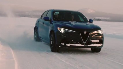 FCA What’s behind - Far North