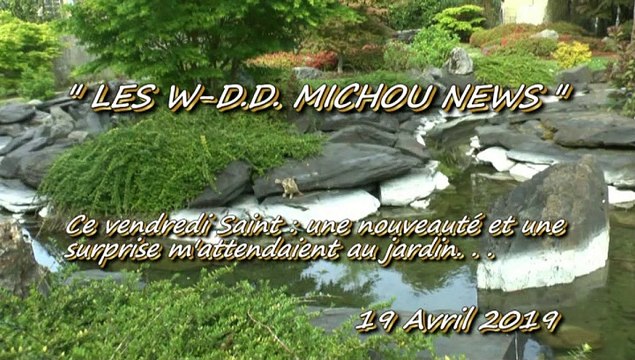 LES W-D.D. MICHOU NEWS - 19 AVRIL 2019 - PAU - UNE NOUVELLE PLATE BANDE ET UN SUJET DE DÉCORATION AU JARDIN DE LA SÉRÉNITÉ