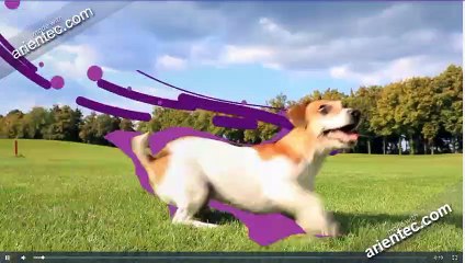 Best Mobile App Developer in Coimbatore