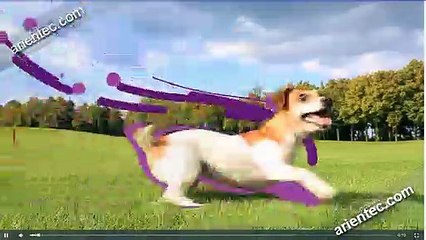 Best Internet Webdesign Company in Coimbatore