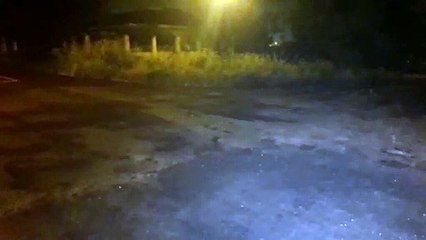 Mato alto gera transtorno para moradores da região do Lago