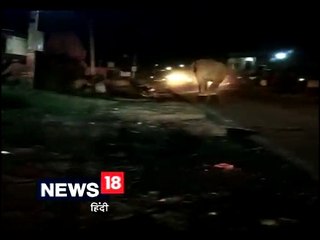 आवासीय क्षेत्र में हाथी के घुसने से दहशत, सूचना के बाद भी नहीं पहुंचे वन कर्मी