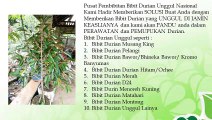 BERKUALITAS .! HP/WA : 0822-2022-8118,  Jual Bibit Durian Musang King di Batang, Jual Bibit Durian Bawor di Blora