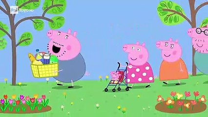 Peppa Pig - italiano - S8E10 - Giornata tra i fiori