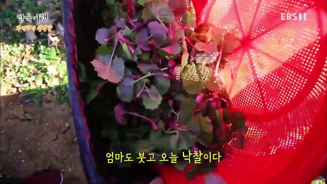 한국기행 - Korea travel_뚜벅뚜벅 섬진강 1부- 봄이 그렇게도 좋나요_#001