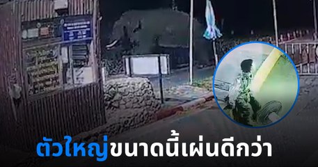 เปิดคลิปนาที ช้างป่าบุกด่านตรวจอุทยาน ตัวเบิ้มขนาดนี้เผ่นดีกว่า