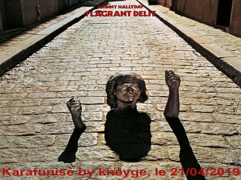 Johnny Hallyday_Que j'aie tort ou raison (GV)(1971)