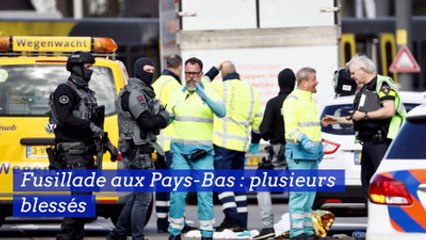 Fusillade aux Pays-Bas : un mort et plusieurs blessés