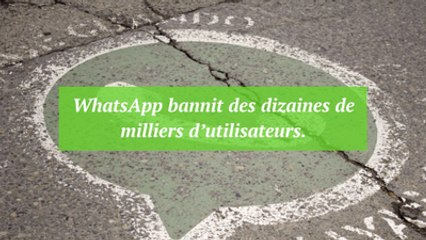 WhatsApp bannit des dizaines de milliers d’utilisateurs