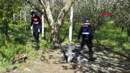 Bursa Birlikte Alkol Aldığı Arkadaşını Av Tüfeğiyle Vurdu