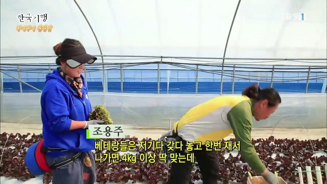 한국기행 - Korea travel_뚜벅뚜벅 섬진강 2부- 지리산 사랑꾼_#001