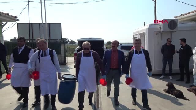 Edirne'de Kedilere 500 Kilo Ciğer Dağıtıldı