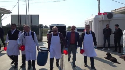 Edirne'de Kedilere 500 Kilo Ciğer Dağıtıldı