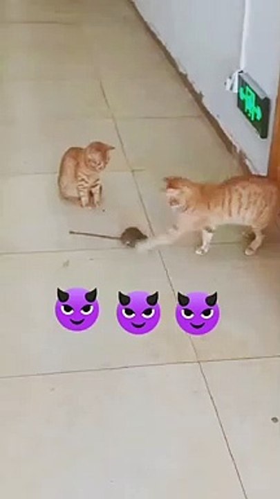 Cruel beast.