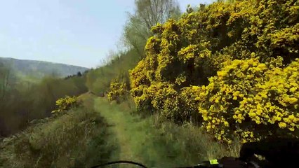 MTB trail riding Glen rosa walkpath circuit, Brodick, Arran, Scotland.