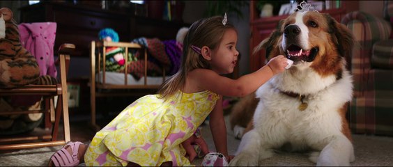 Tu mejor amigo: Un nuevo viaje - Tráiler Español HD [1080p]