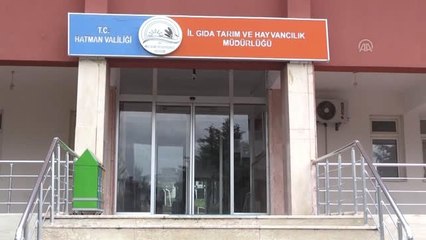 60 Yetiştiriciye Süt Sağım Makinesi Dağıtıldı