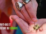 Pays-Bas : il milite pour la culture du cannabis