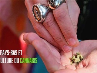 Pays-Bas : il milite pour la culture du cannabis
