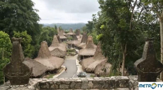 Highlight Idenesia - Ragam Tradisi di Tanah Marapu