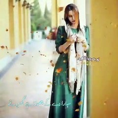 دل اُمید توڑا ہے کسی نے  سہارا دے کے چھوڑا ہے کسی نے