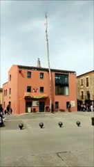 Ils regardent la chute d'un arbre et vont frôler le pire...