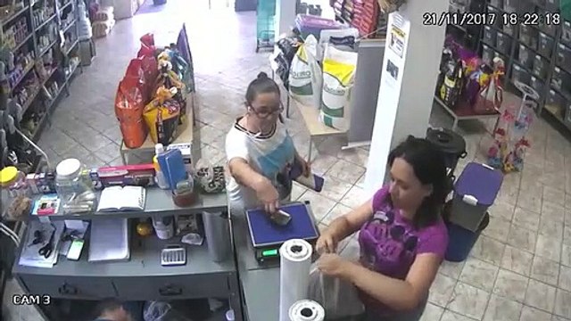 Regardez qui vient voler un billet dans une animalerie... Adorable