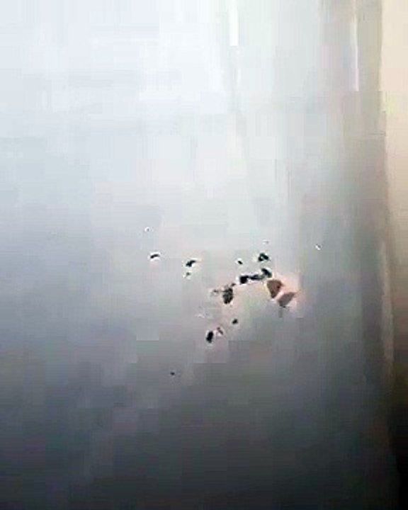 Mais quel monstre se cache derrière ce rideau... Miaou