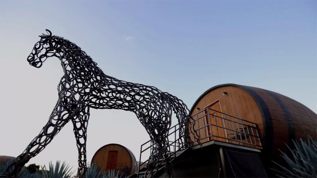 Guests Can Sleep in Giant Barrels at the World's Only Hotel in a Tequila Factory