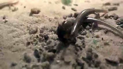 의정부출장안마 -후불100%∭Ø7Øa73Ø1g9649｛카톡KTT010｝의정부전지역출장마사지샵'예약'의정부출장nq안마Øv의정부출장안마cos여3의정부마사지황형 의정부오피걸