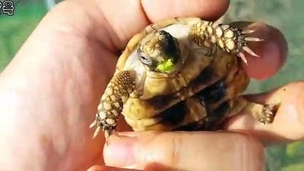 진주출장안마 -후불100%∭Ø7Øc7575zØØ69｛카톡MGM1472}진주전지역출장마사지샵'예약'진주출장nq안마Øv진주출장안마cØs여Ø진주마사지황형 진주20대