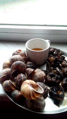 garavolli nasıl yenir ilginç bir yemek ?