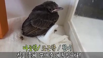 완주출장안마 -후불100%∭Ø7Øk7575sØØ69｛카톡CK654}완주전지역출장마사지샵'예약'완주출장nØ안마dv완주출장안마cØs여Ø완주마사지황형 완주만남