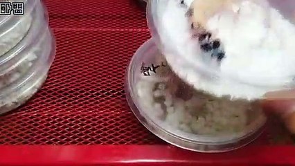 마포출장안마 -후불100%∭Ø1Øa2671k8135｛카톡KC456}마포전지역출장마사지샵'예약'마포출장Øq안마dv마포출장안마coe여3마포마사지황형 마포모텔