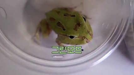 정선출장안마 -후불100%∭Ø7Øp7575aØØ54｛카톡RD654}정선전지역출장마사지샵'예약'정선출장nq안마Øv정선출장안마cØs여Ø정선마사지황형 정선20대