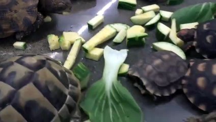 중구출장안마 -후불100%∭Ø7Øv7575fØØ54｛카톡KC789}중구전지역출장마사지샵'예약'중구출장nØ안마dv중구출장안마cØs여Ø중구마사지황형 중구콜걸