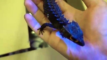 사상출장안마 -후불100%∭Ø7Øq5222w78Ø2｛카톡AA654｝사상전지역출장마사지샵'예약'사상출장nØ안마dv사상출장안마cØs여Ø사상마사지황형 사상만남