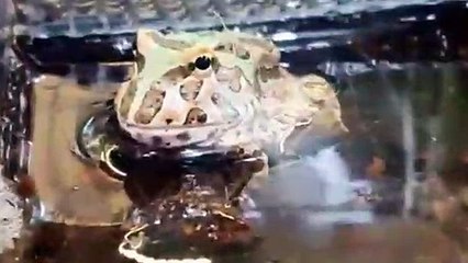 연천출장안마 -후불100%∭Ø7Øt7575vØØ69｛카톡GD825｝연천전지역출장마사지샵'예약'연천출장nq안마Øv연천출장안마cos여3연천마사지황형 연천오피걸