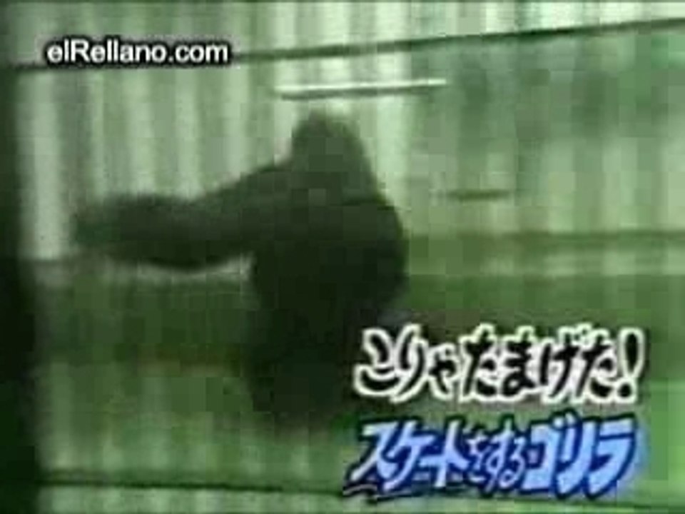 Gorille dance