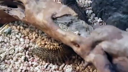 보은출장안마 -후불100%∭Ø7Øn8782v38ØØ｛카톡FK88｝보은전지역출장마사지샵'예약'보은출장nØ안마dv보은출장안마cØs여Ø보은마사지황형 보은만남